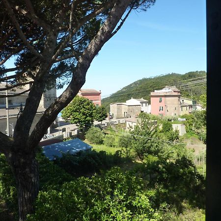 Hotel Silvia Framura - Cinque Terre Dış mekan fotoğraf