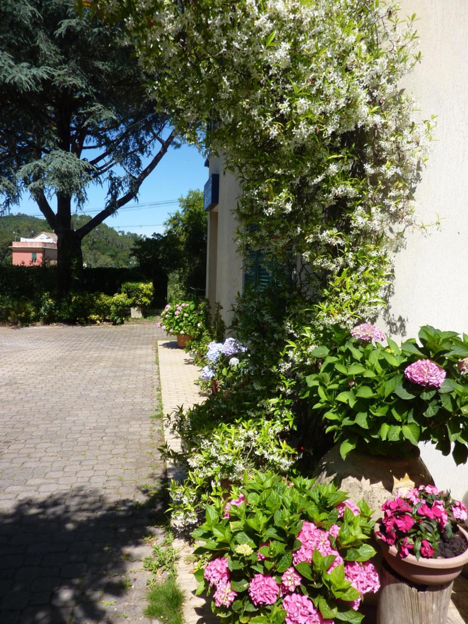 Hotel Silvia Framura - Cinque Terre Dış mekan fotoğraf