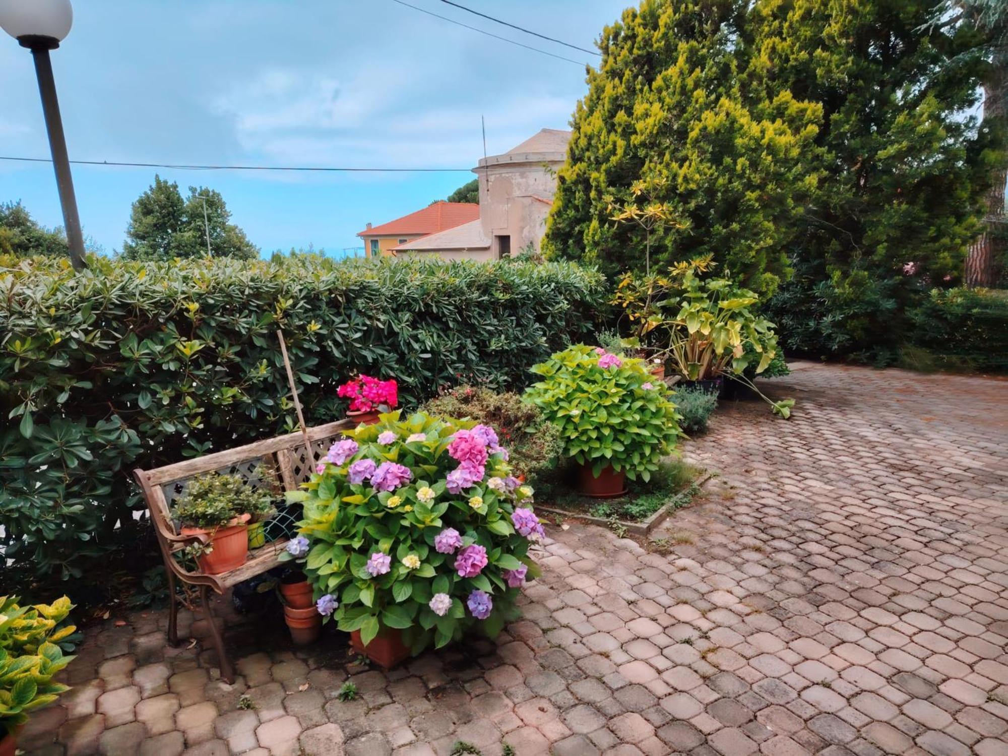 Hotel Silvia Framura - Cinque Terre Dış mekan fotoğraf