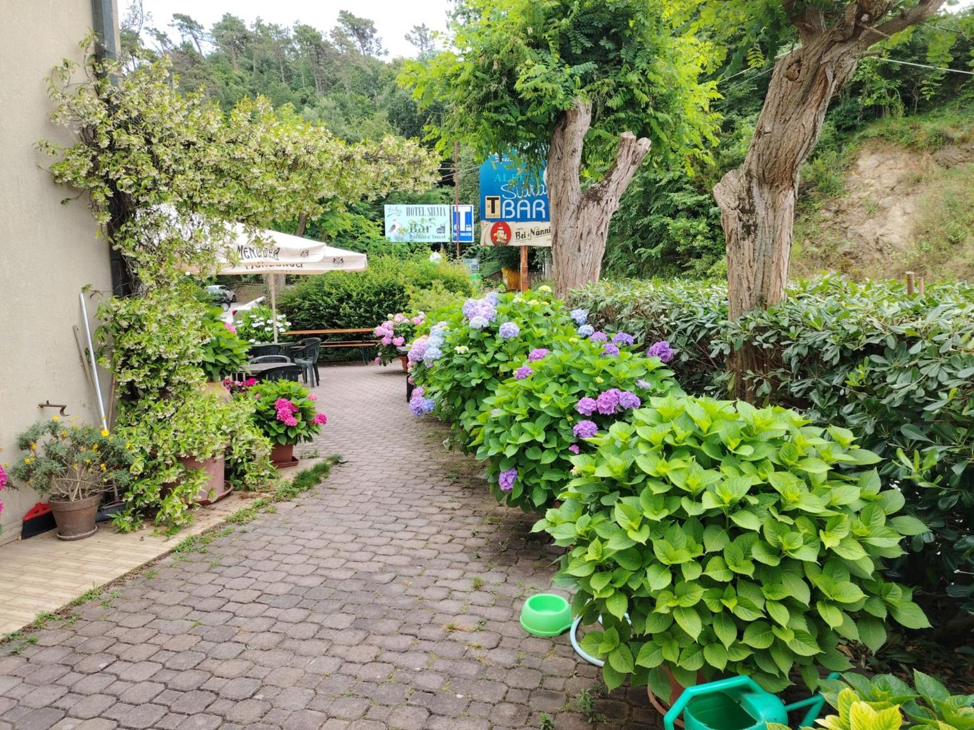 Hotel Silvia Framura - Cinque Terre Dış mekan fotoğraf