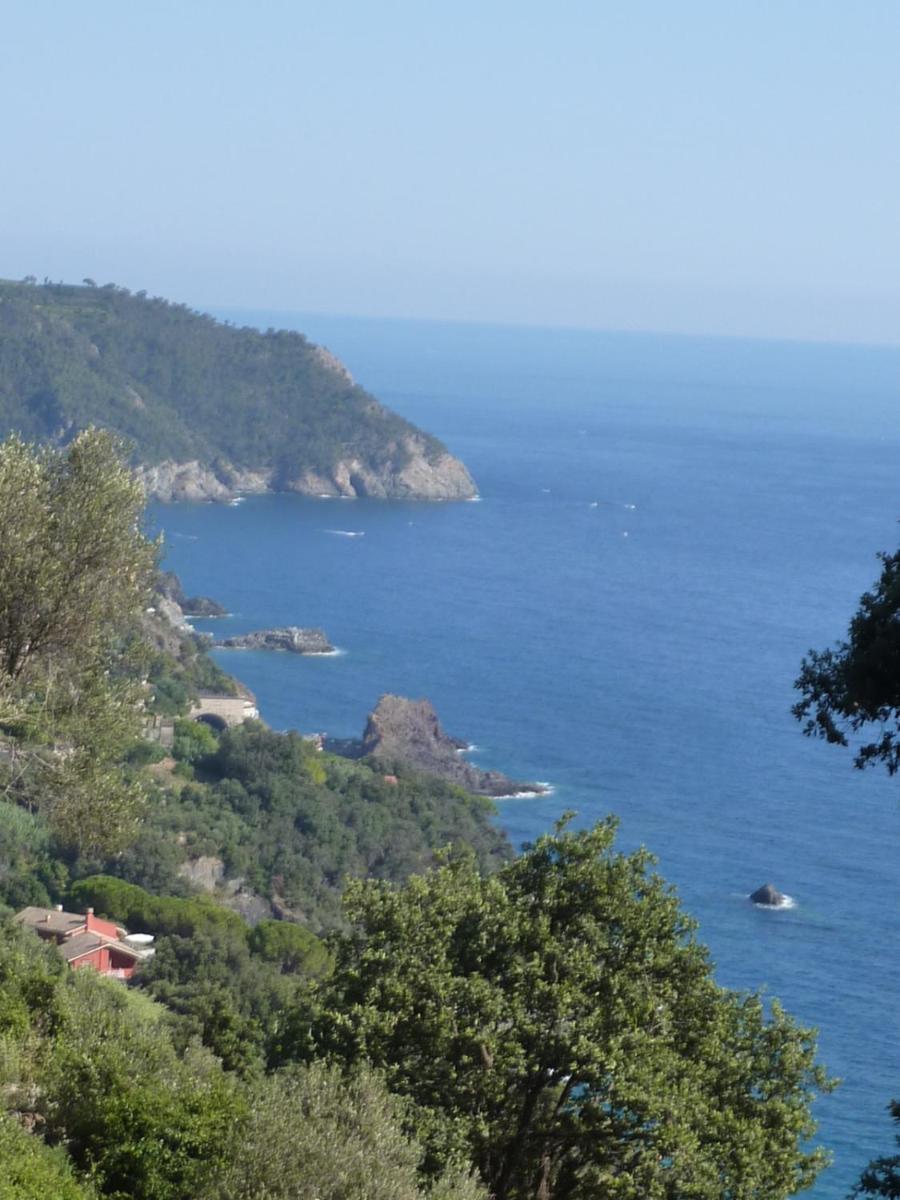 Hotel Silvia Framura - Cinque Terre Dış mekan fotoğraf