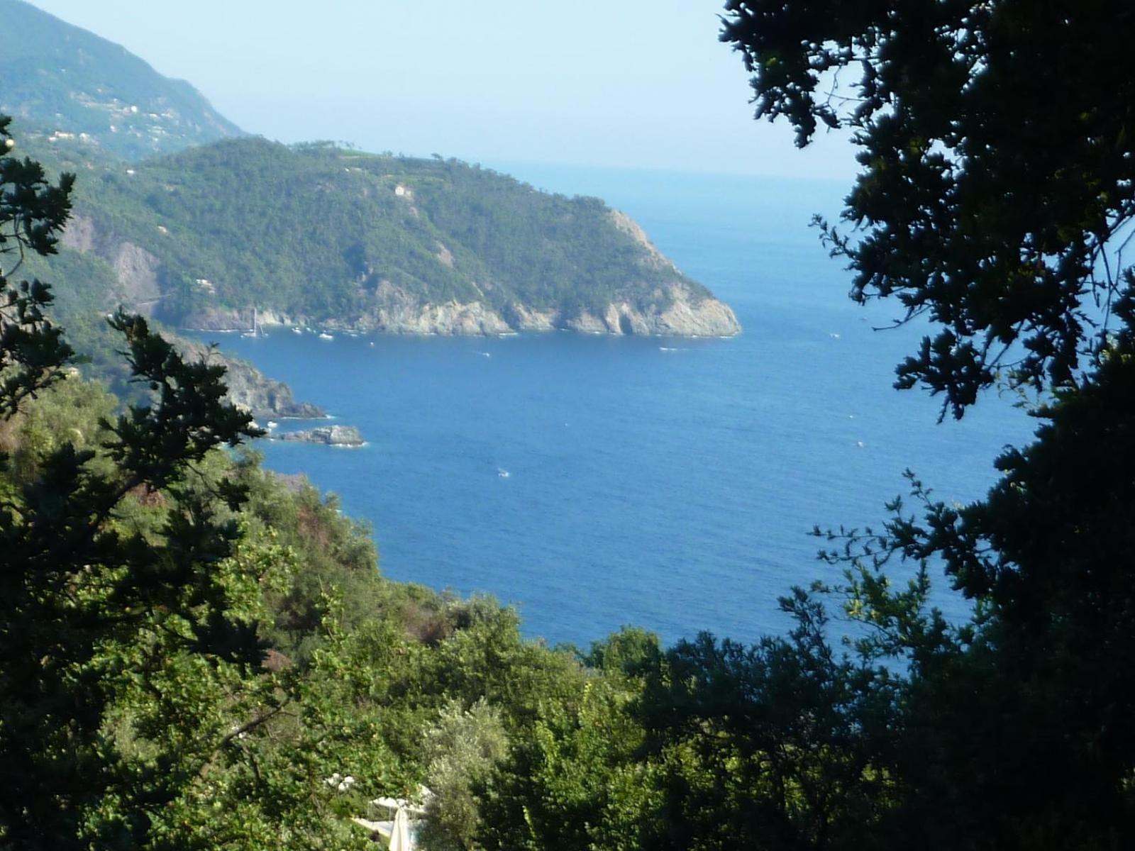 Hotel Silvia Framura - Cinque Terre Dış mekan fotoğraf