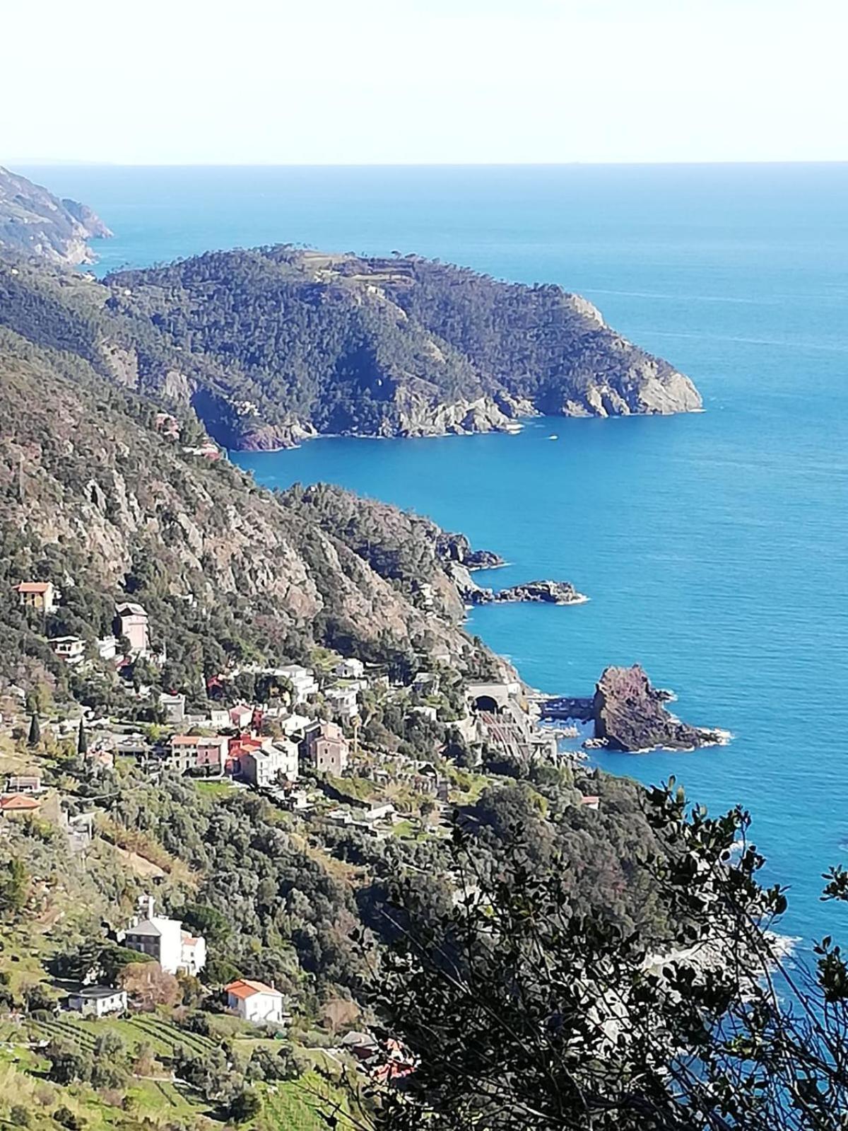 Hotel Silvia Framura - Cinque Terre Dış mekan fotoğraf